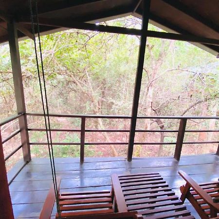 The Inn On The Tree Sigiriya Exterior photo
