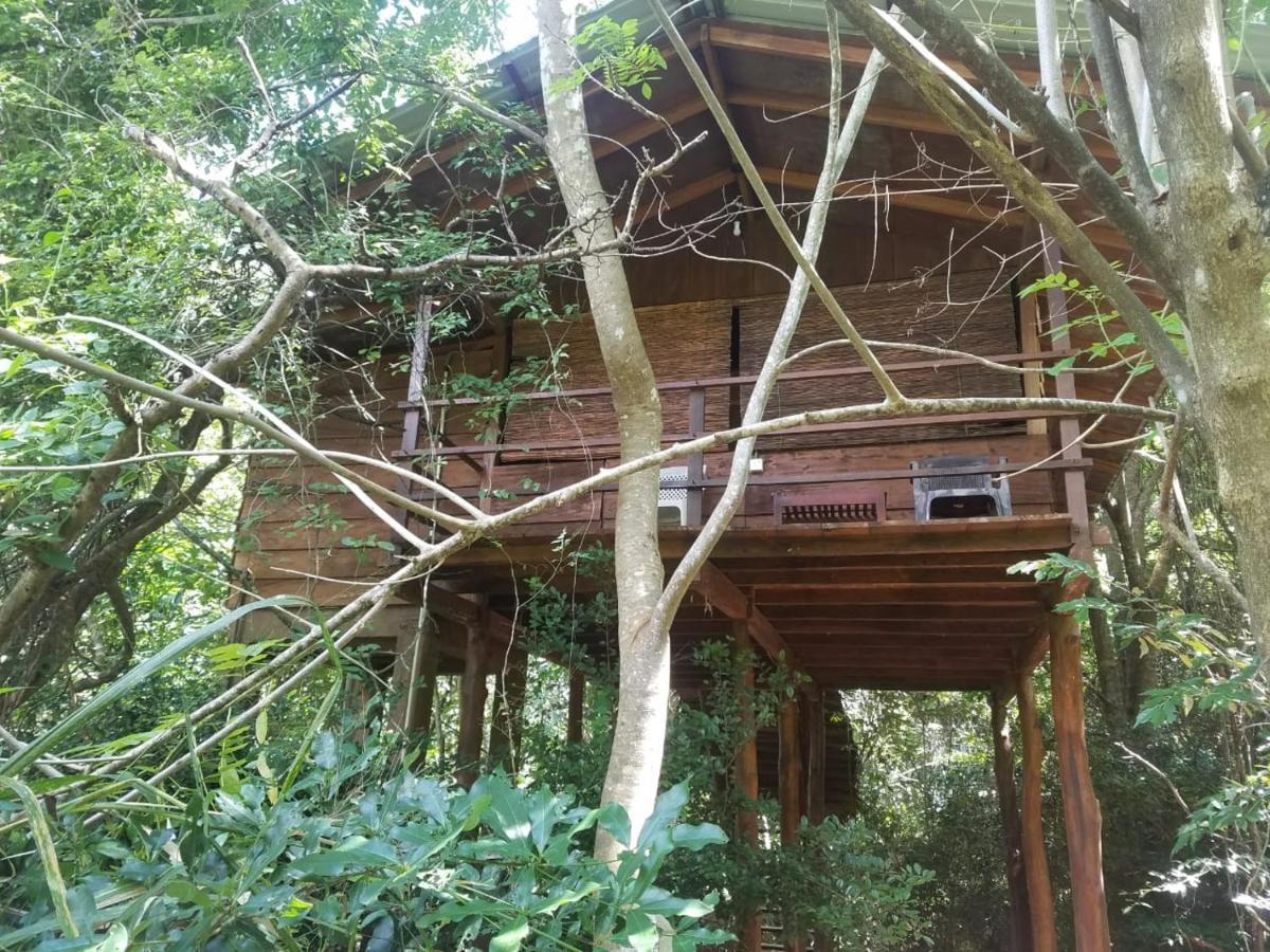 The Inn On The Tree Sigiriya Exterior photo