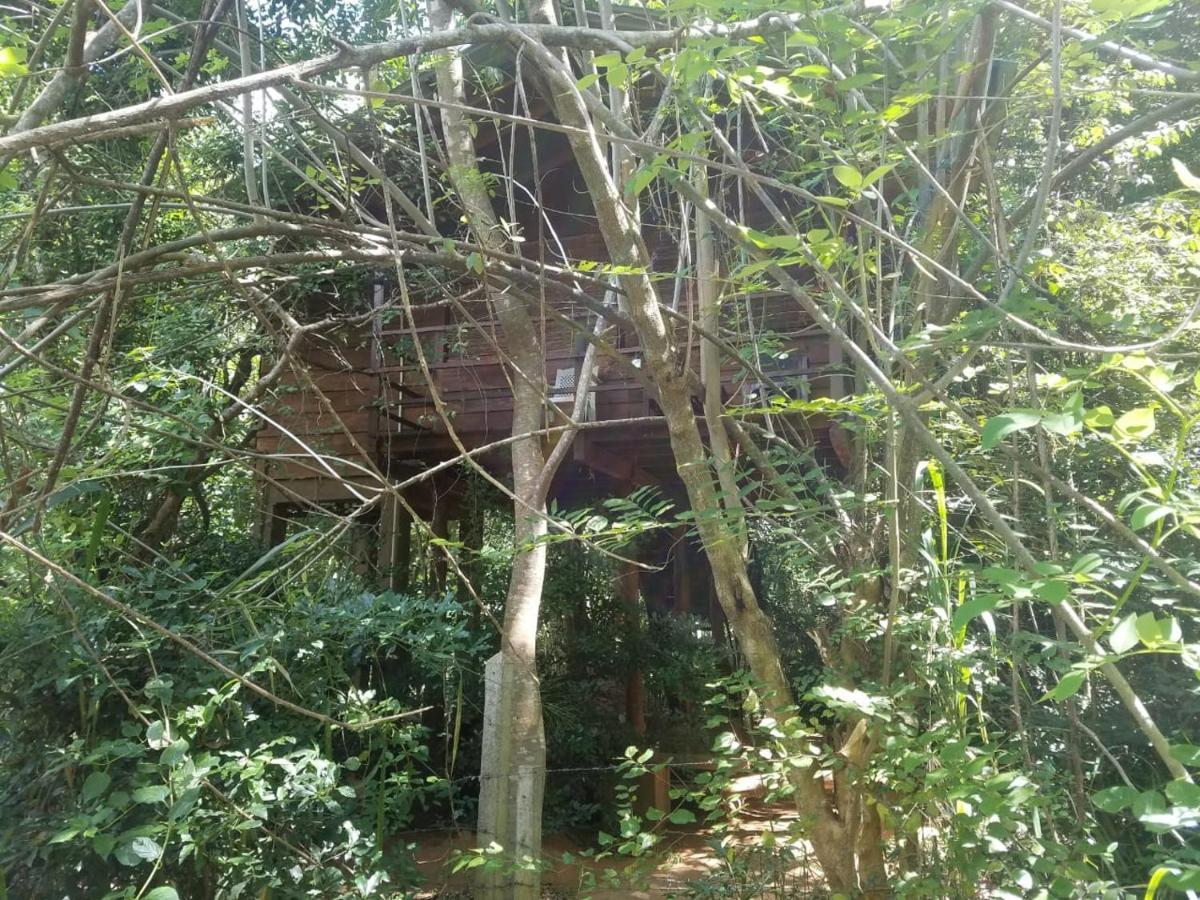 The Inn On The Tree Sigiriya Exterior photo