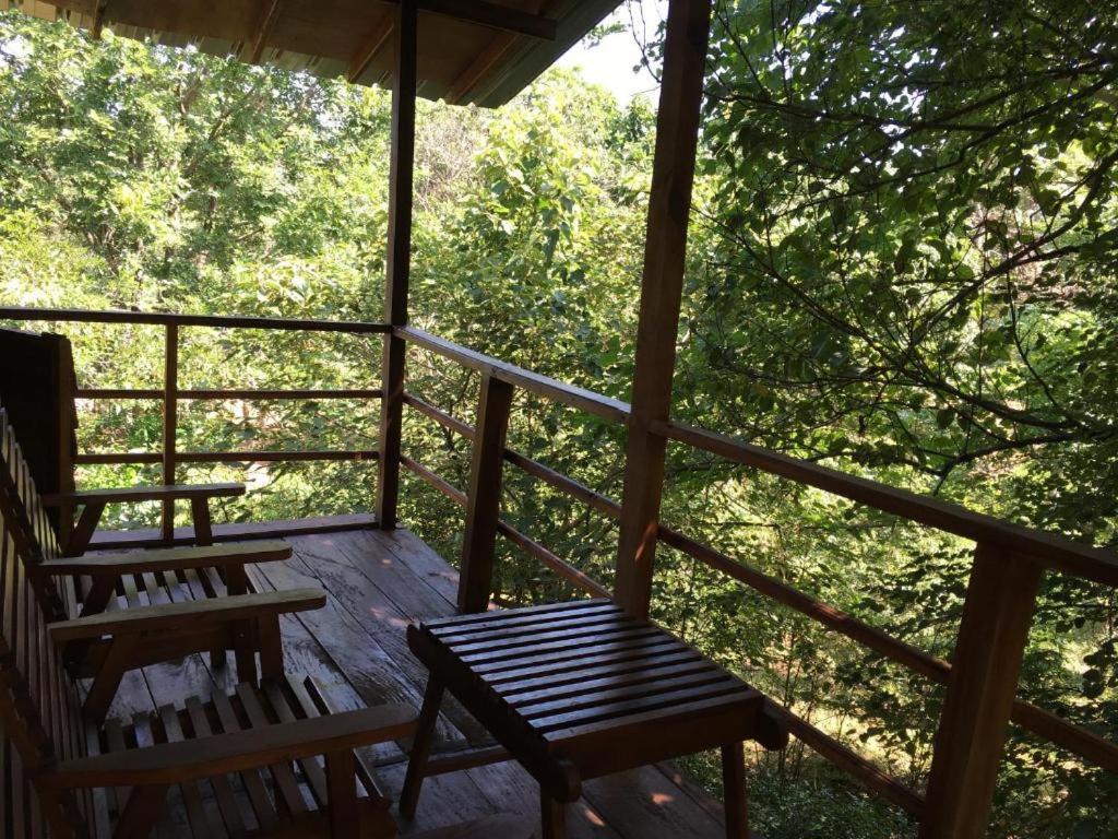 The Inn On The Tree Sigiriya Exterior photo