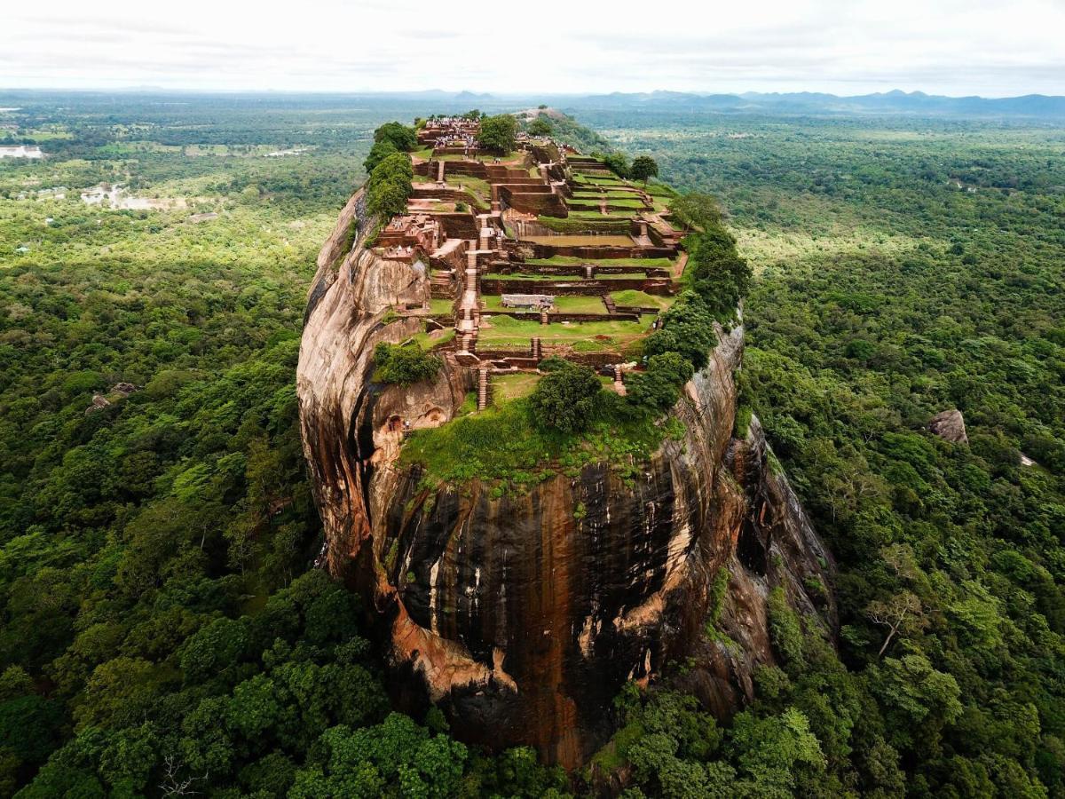 The Inn On The Tree Sigiriya Exterior photo