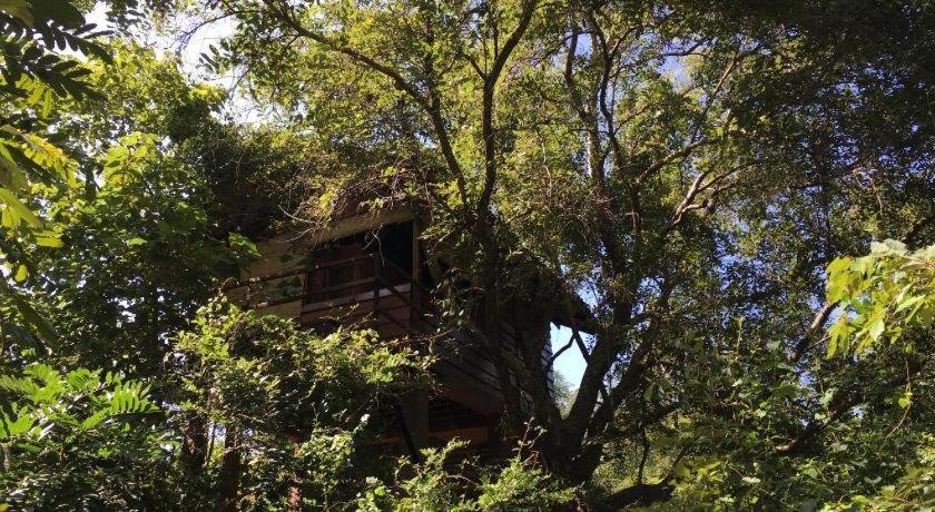 The Inn On The Tree Sigiriya Exterior photo